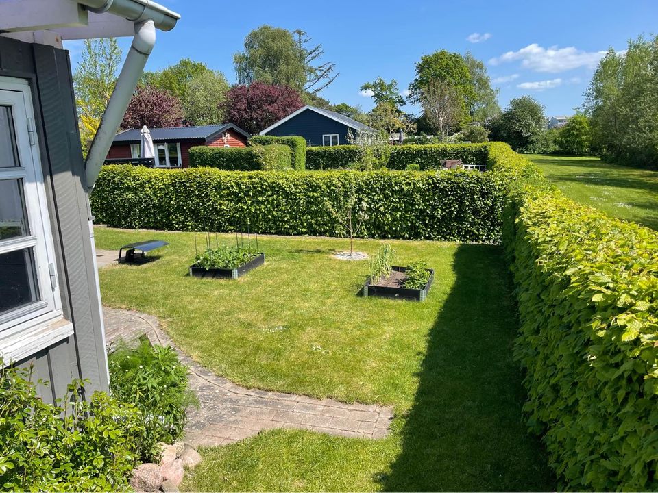 348472729_9433885623351019_1895039350197634356_n