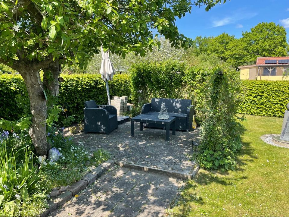 349994720_6383873858302573_8482360250668353548_n